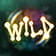 Wild Symbol